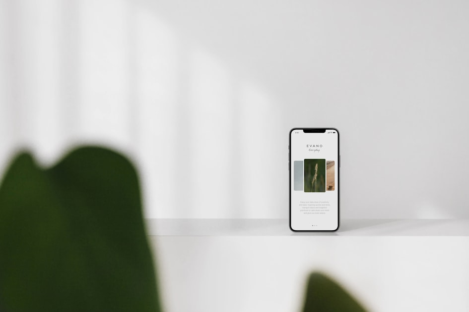 Choosing the Right Theme